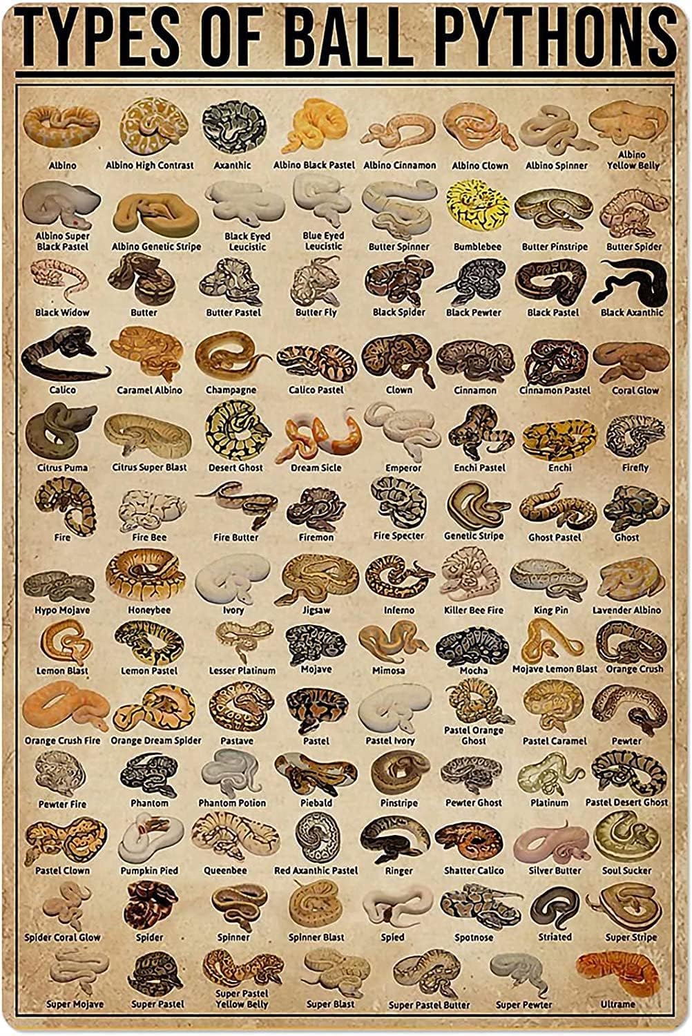 Home Bar And Coffee - Retro metalen blikken bord soorten balpythons